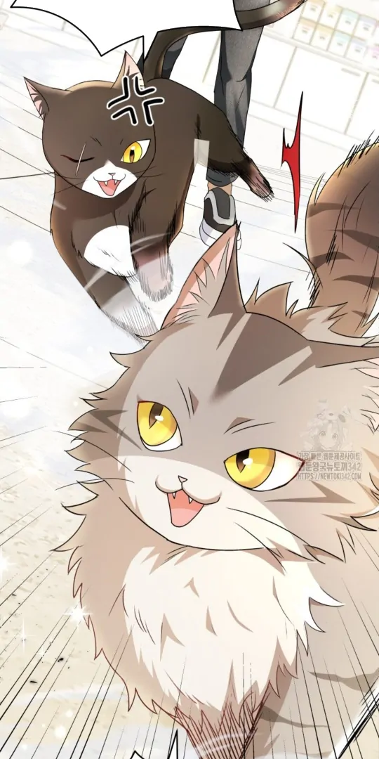 Hello! Veterinarian! Chapter 51 - Page 22