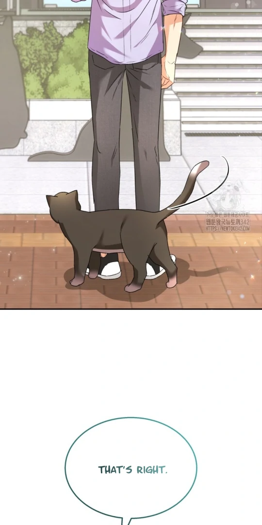 Hello! Veterinarian! Chapter 51 - Page 3