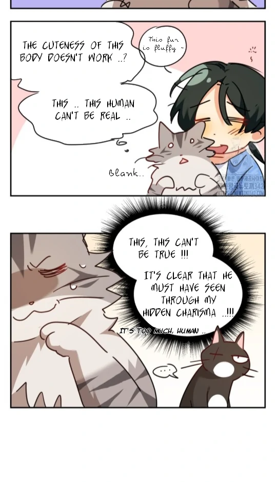 Hello! Veterinarian! Chapter 51 - Page 91