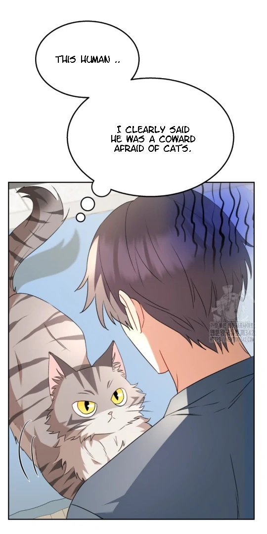 Hello! Veterinarian! Chapter 52 - Page 11