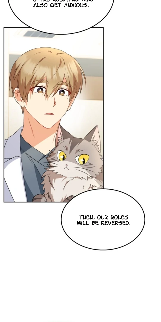 Hello! Veterinarian! Chapter 52 - Page 37