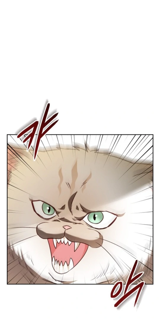 Hello! Veterinarian! Chapter 52 - Page 72