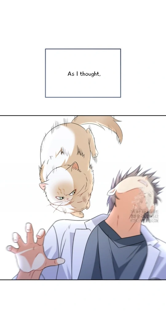 Hello! Veterinarian! Chapter 53 - Page 22