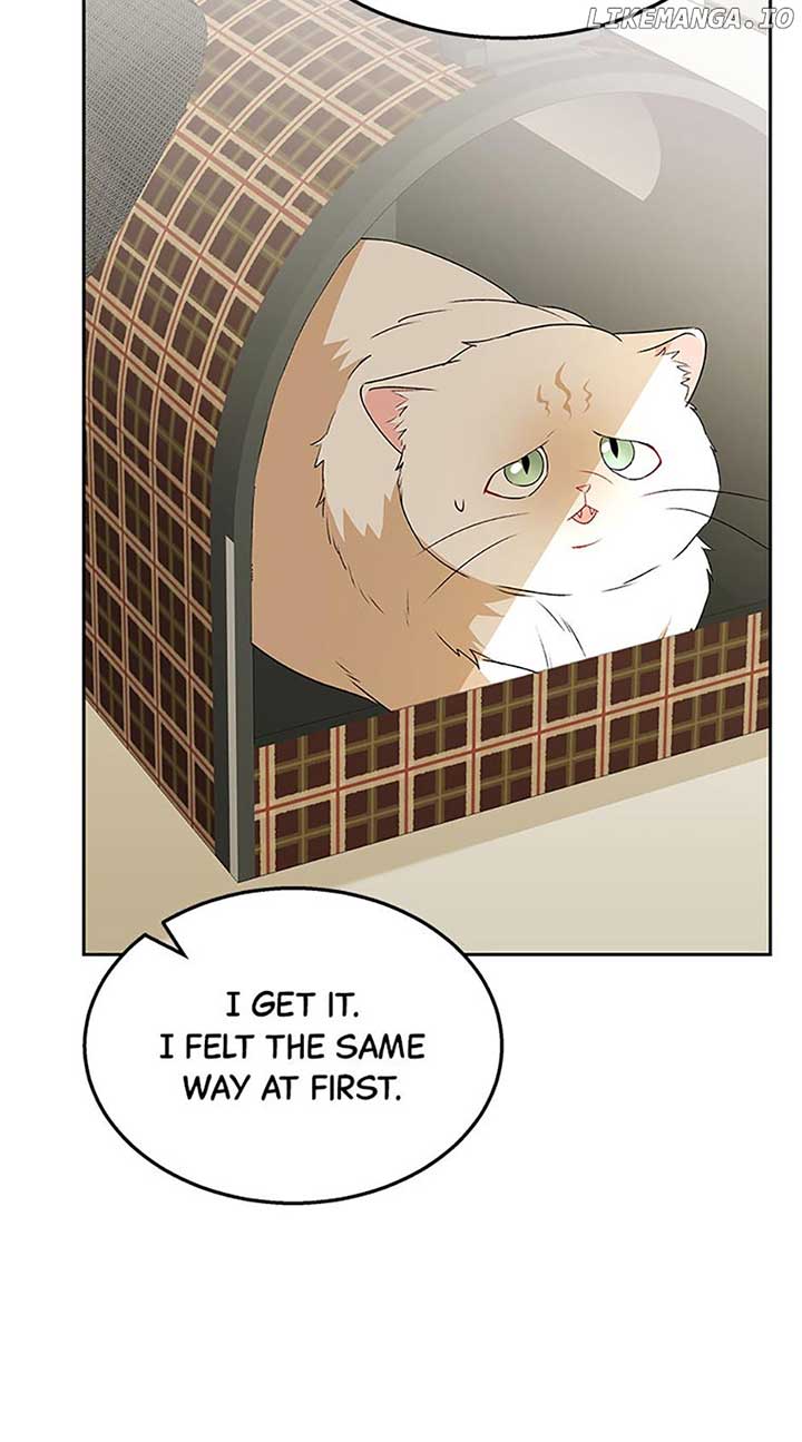 Hello! Veterinarian! Chapter 54 - Page 66