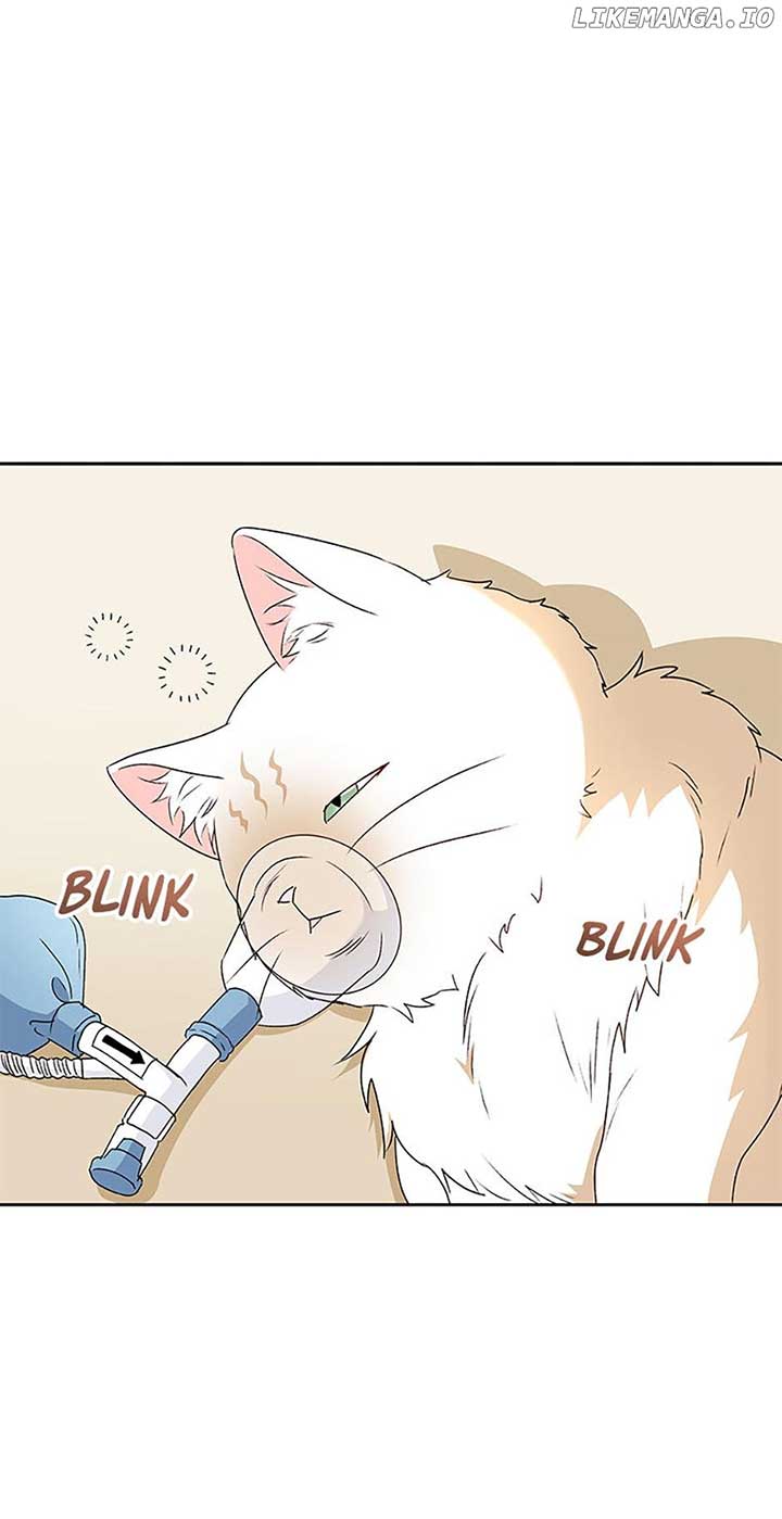 Hello! Veterinarian! Chapter 55 - Page 0