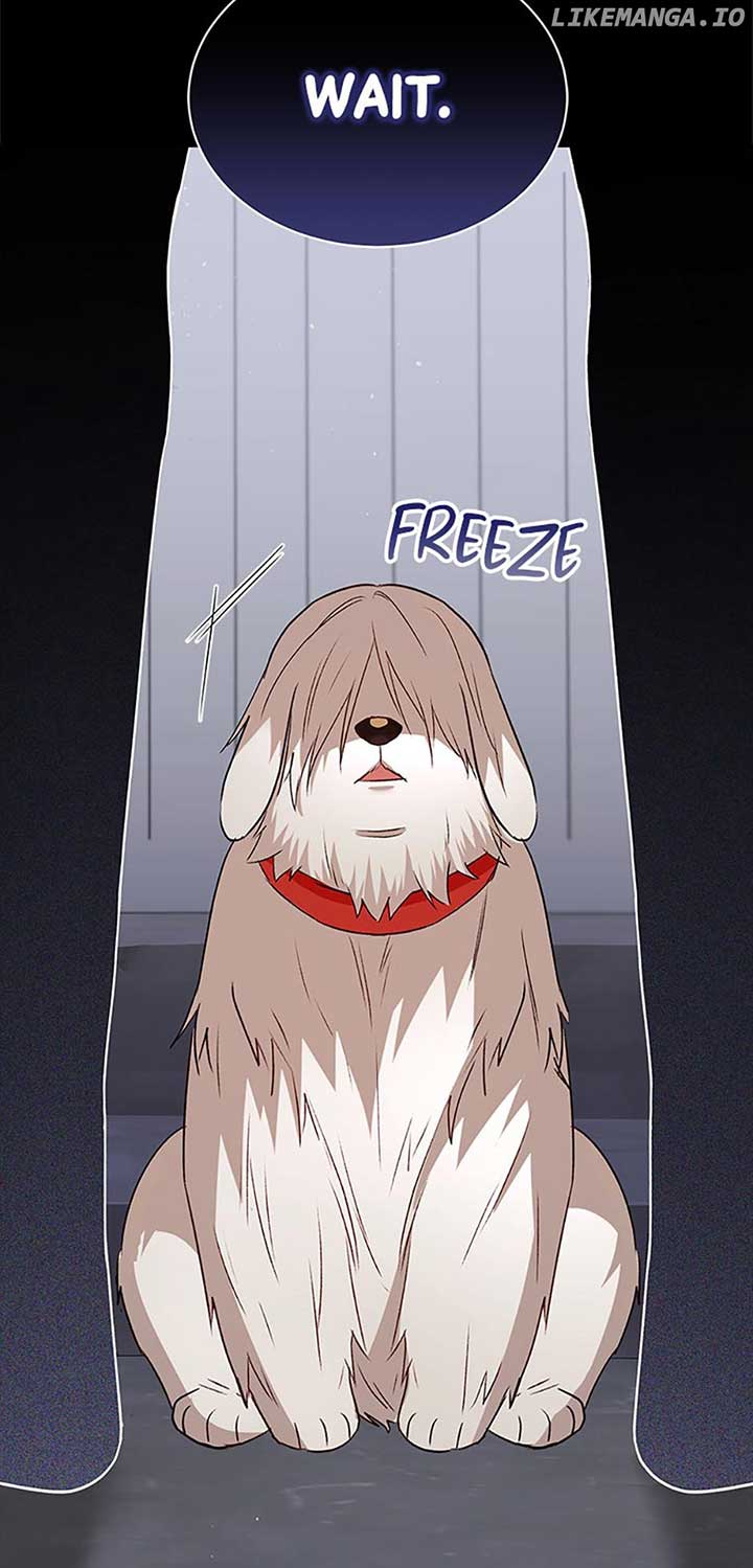 Hello! Veterinarian! Chapter 56 - Page 10