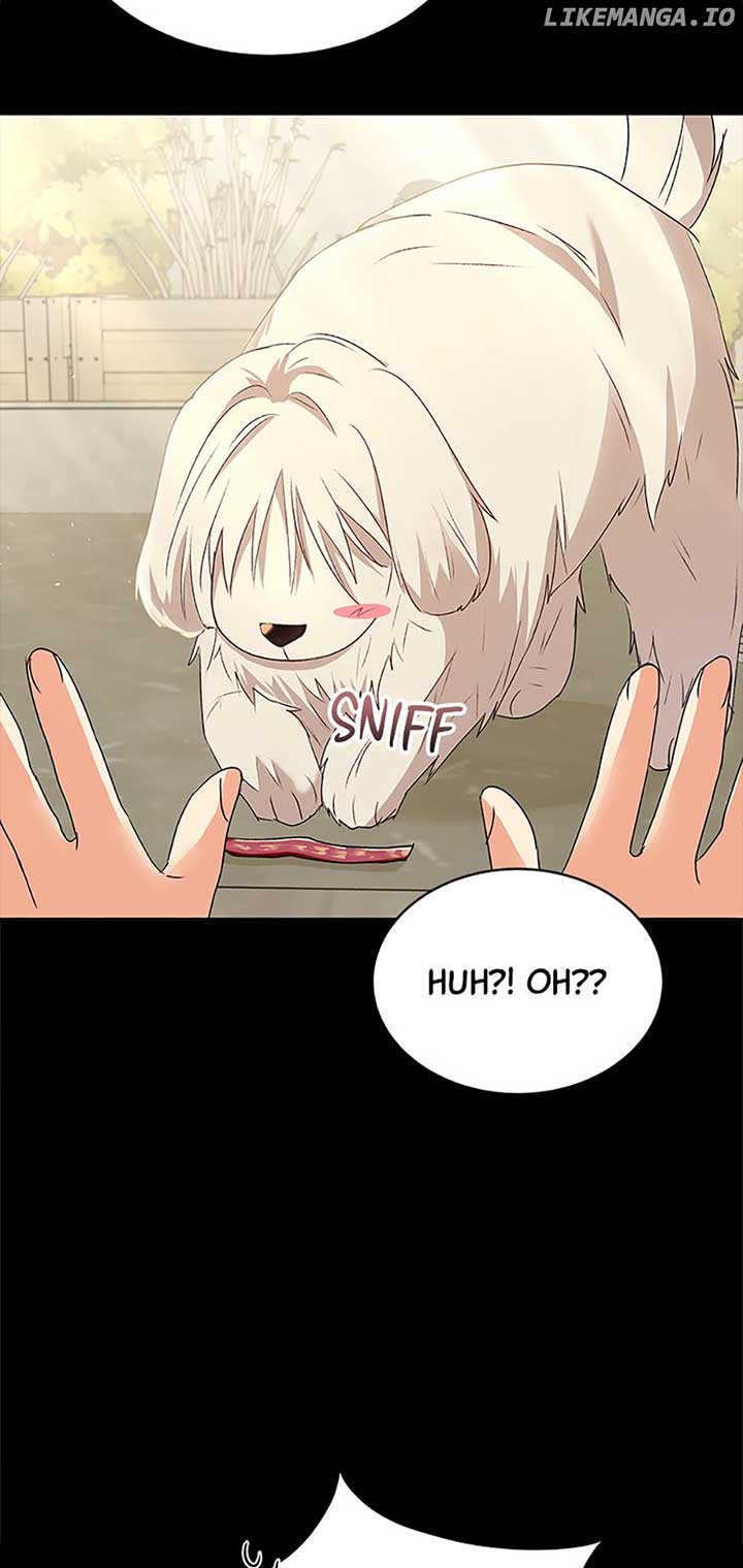 Hello! Veterinarian! Chapter 56 - Page 2