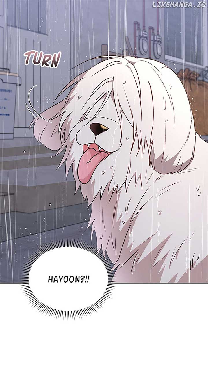 Hello! Veterinarian! Chapter 57 - Page 56