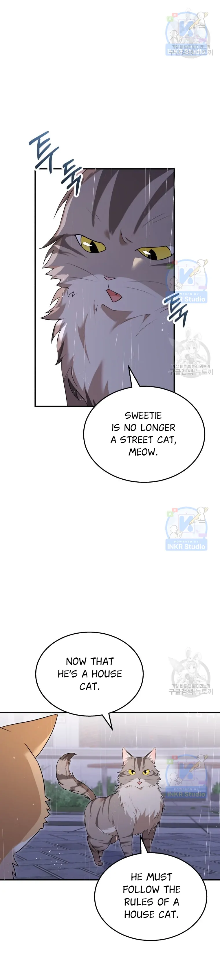 Hello! Veterinarian! Chapter 6 - Page 31