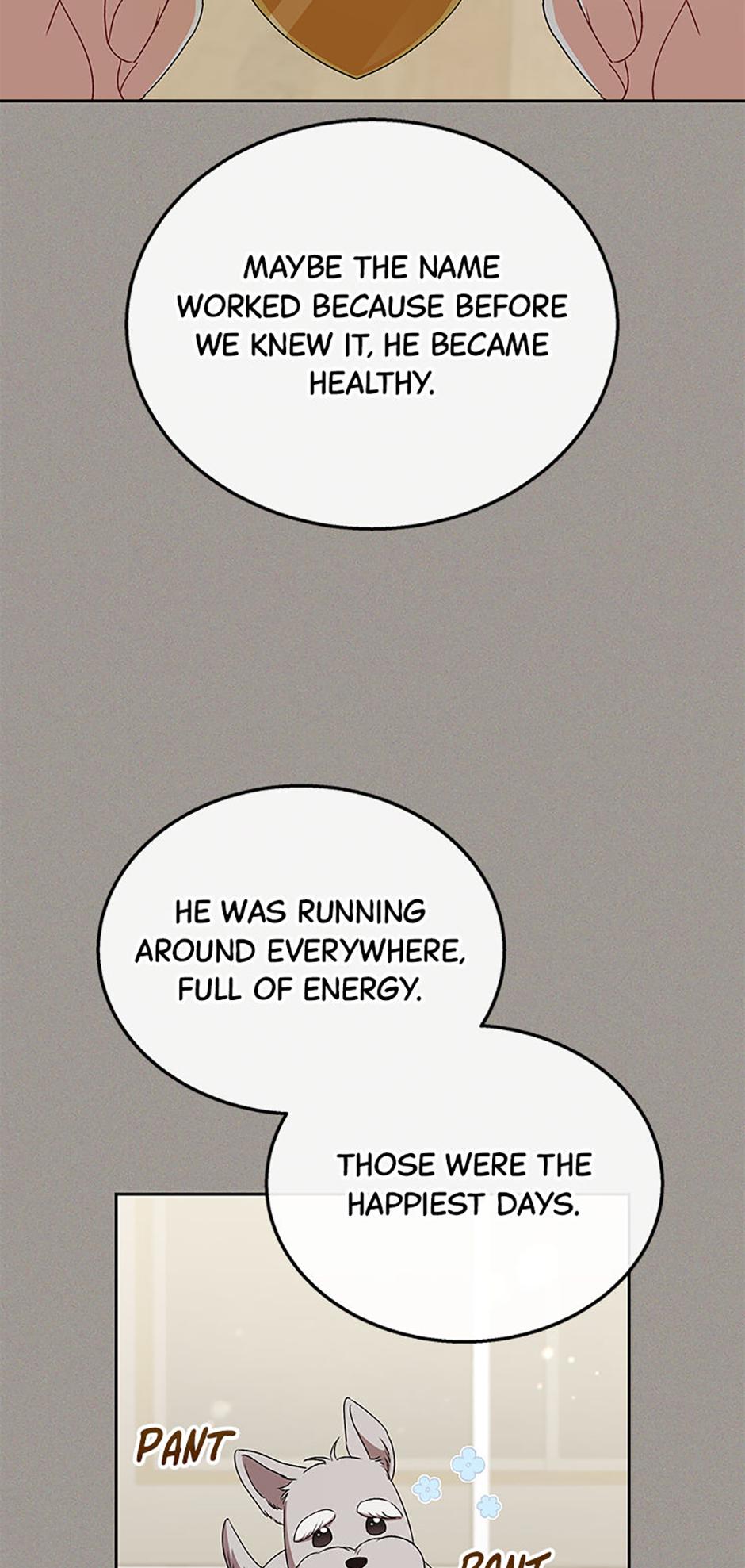 Hello! Veterinarian! Chapter 68 - Page 43