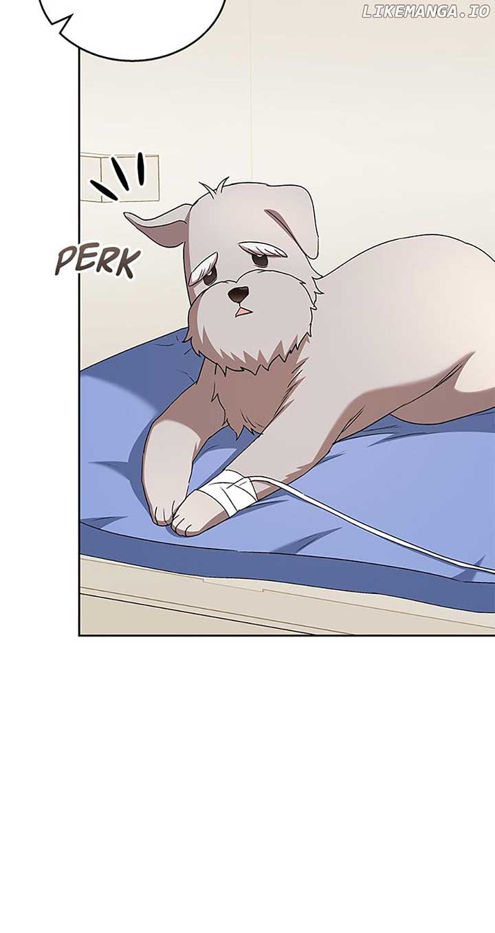 Hello! Veterinarian! Chapter 69 - Page 5