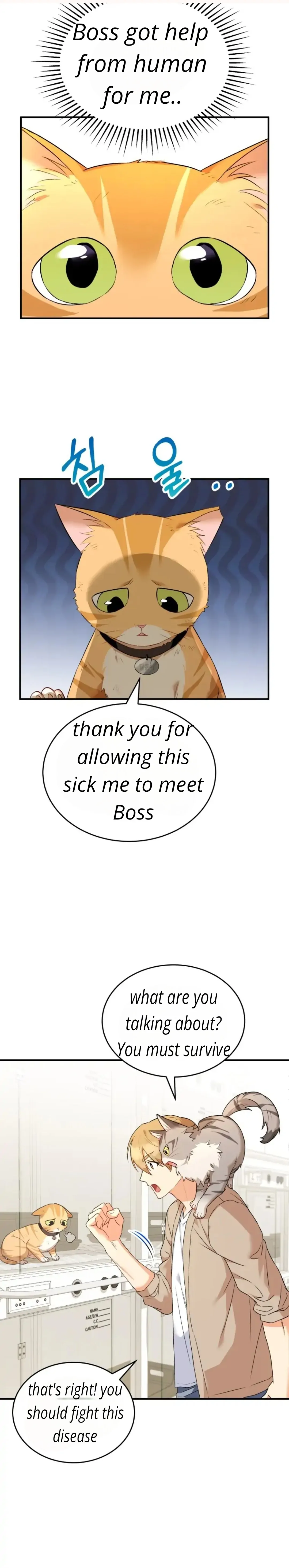 Hello! Veterinarian! Chapter 7 - Page 33