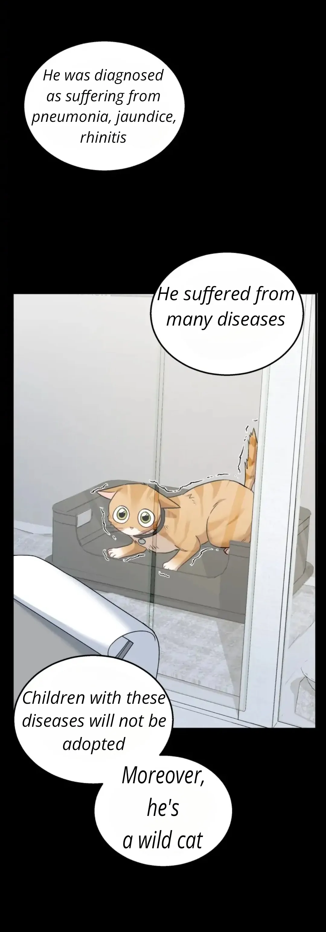 Hello! Veterinarian! Chapter 7 - Page 8