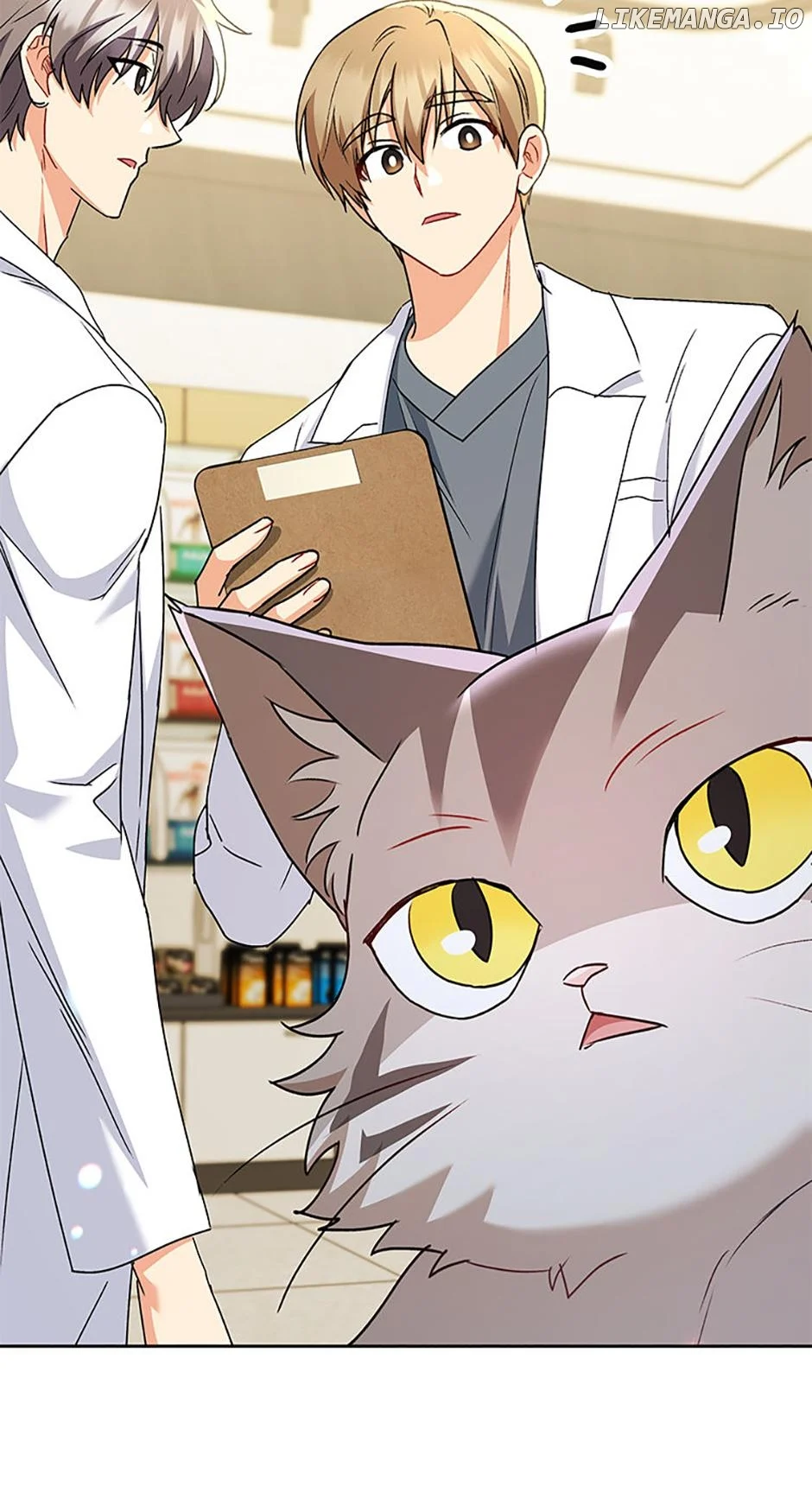 Hello! Veterinarian! Chapter 71 - Page 49