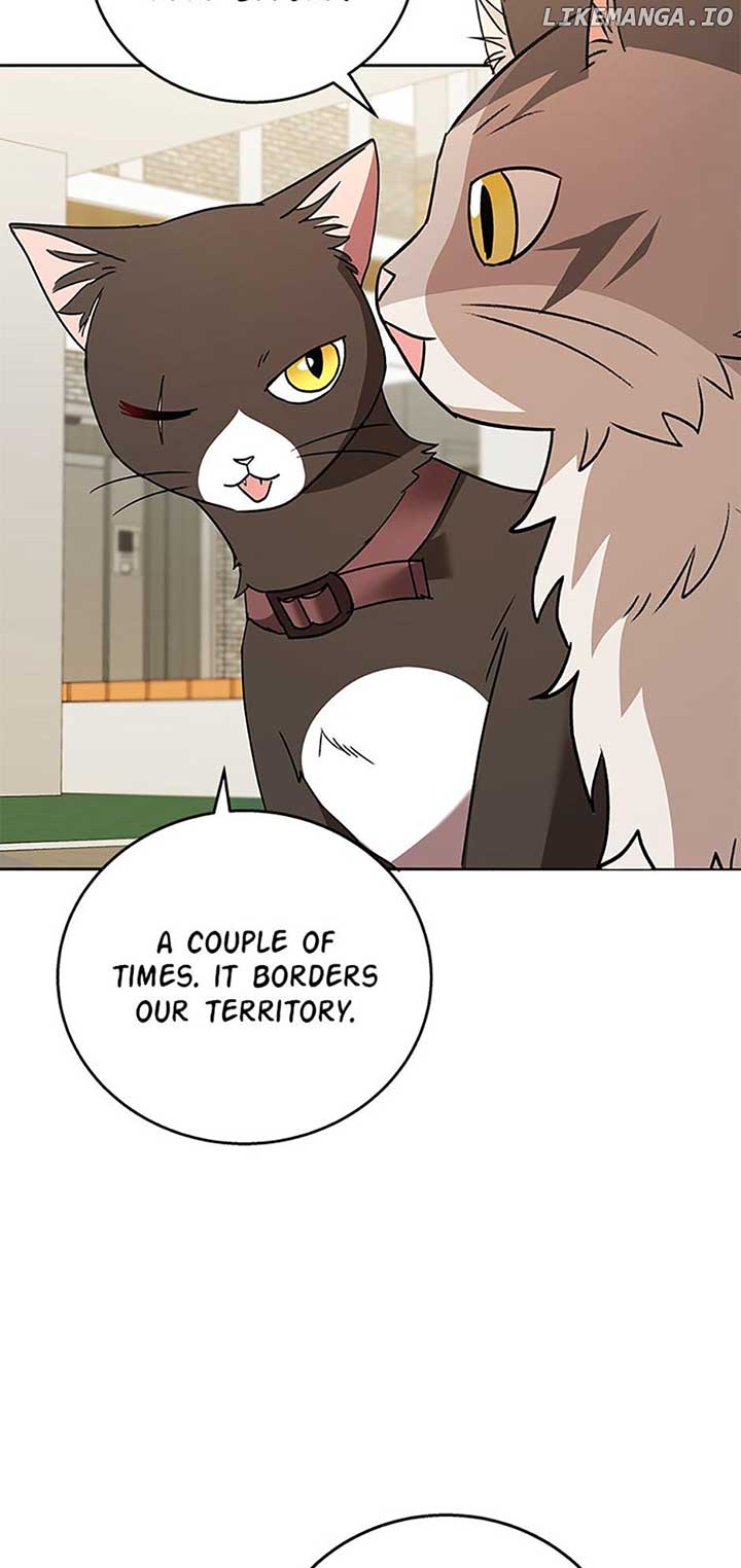 Hello! Veterinarian! Chapter 76 - Page 29