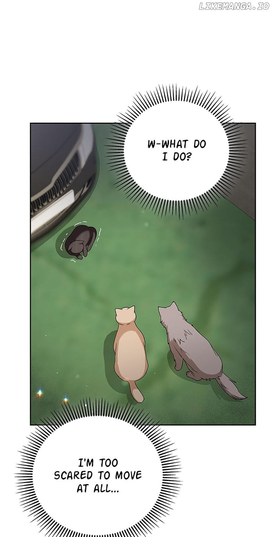 Hello! Veterinarian! Chapter 77 - Page 0