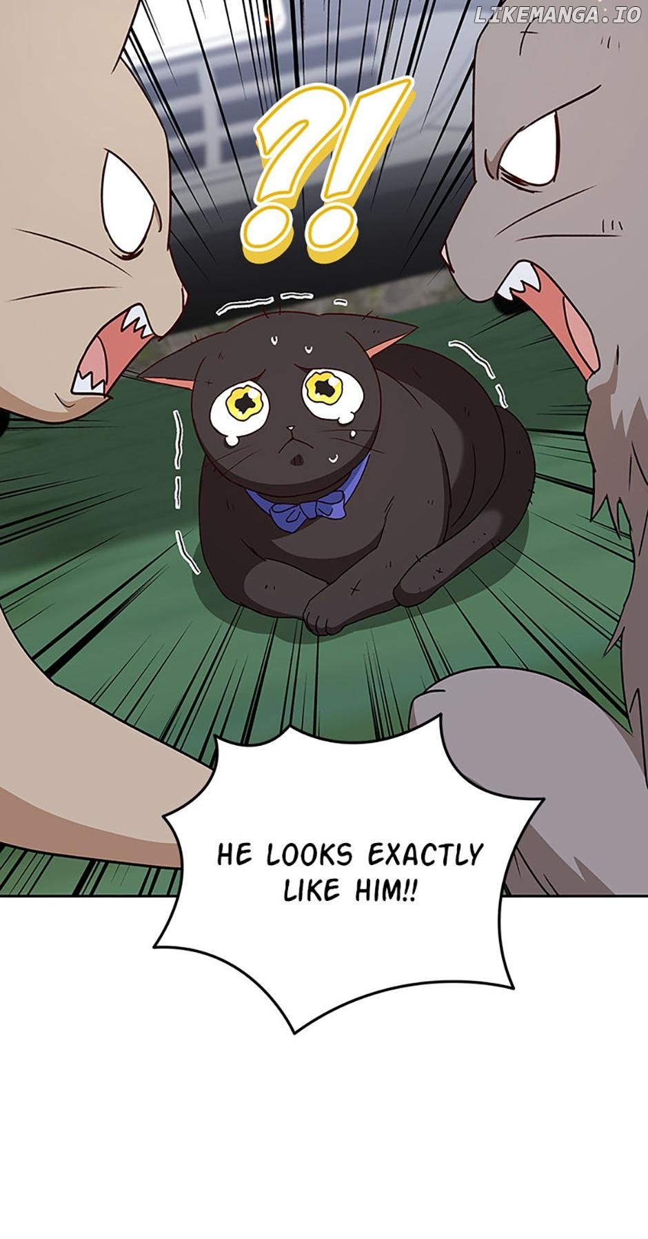 Hello! Veterinarian! Chapter 77 - Page 5
