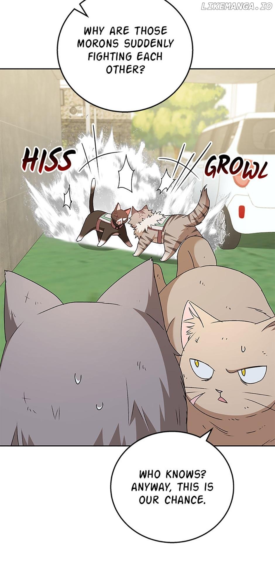 Hello! Veterinarian! Chapter 77 - Page 50