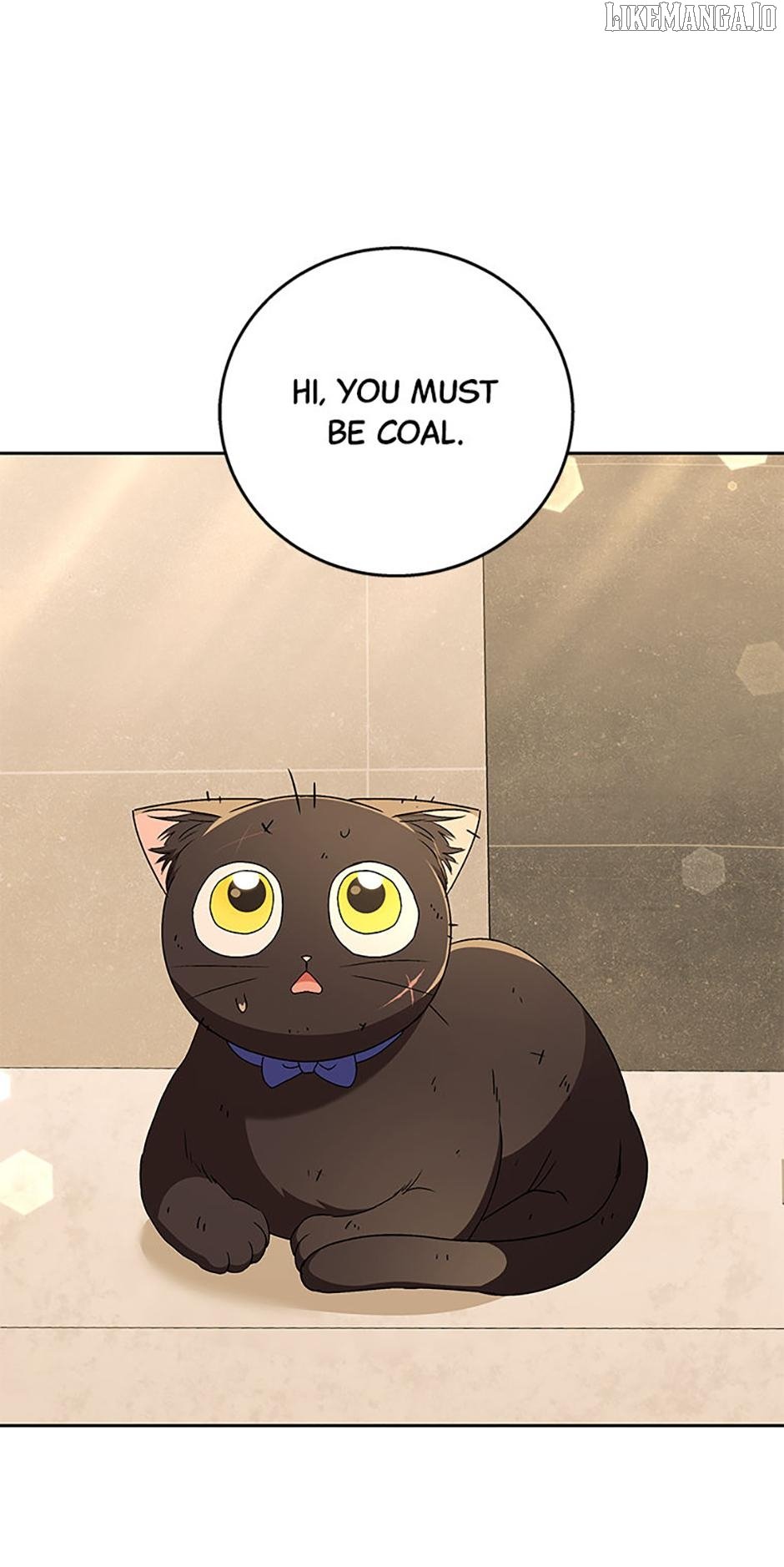 Hello! Veterinarian! Chapter 78 - Page 13