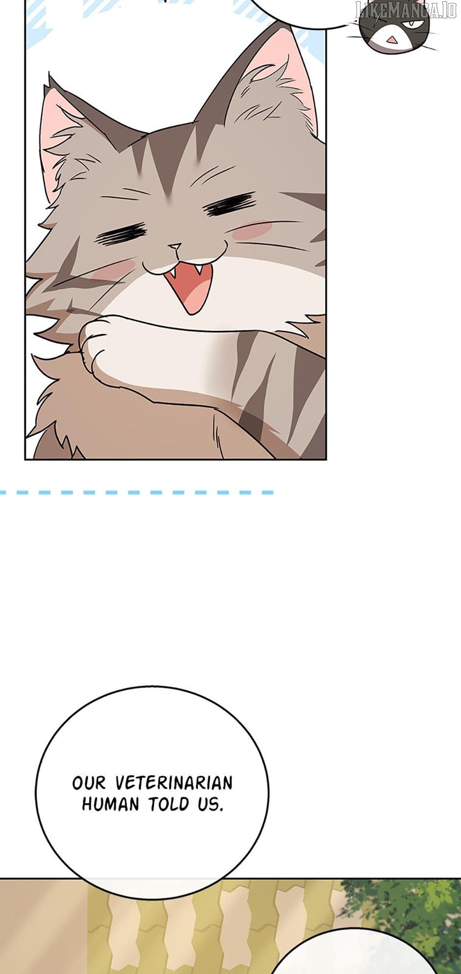 Hello! Veterinarian! Chapter 78 - Page 4
