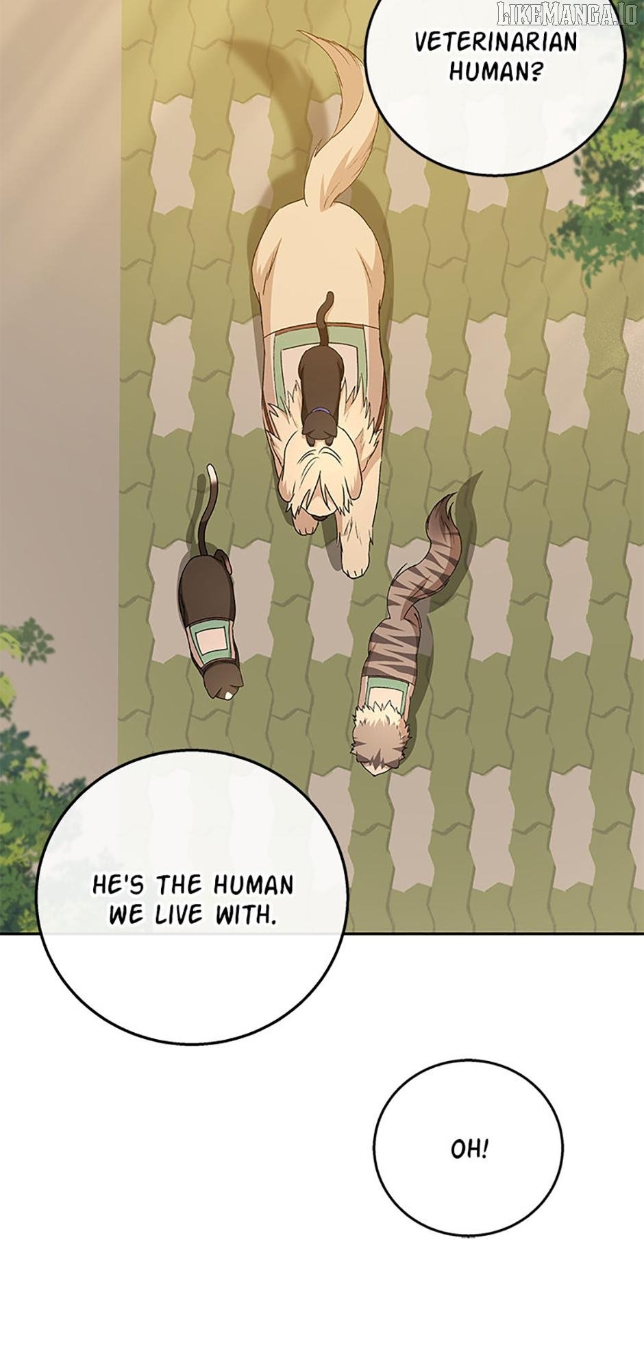 Hello! Veterinarian! Chapter 78 - Page 5
