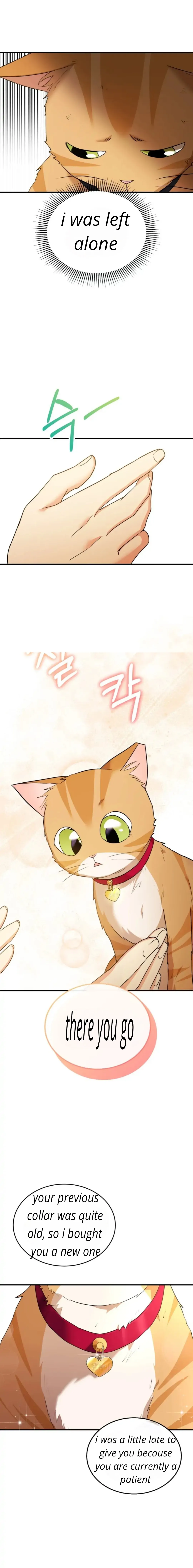 Hello! Veterinarian! Chapter 8 - Page 13