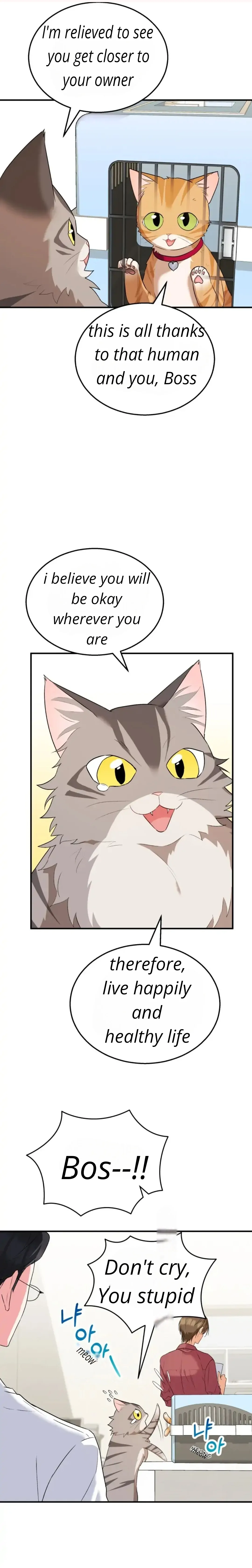 Hello! Veterinarian! Chapter 8 - Page 19
