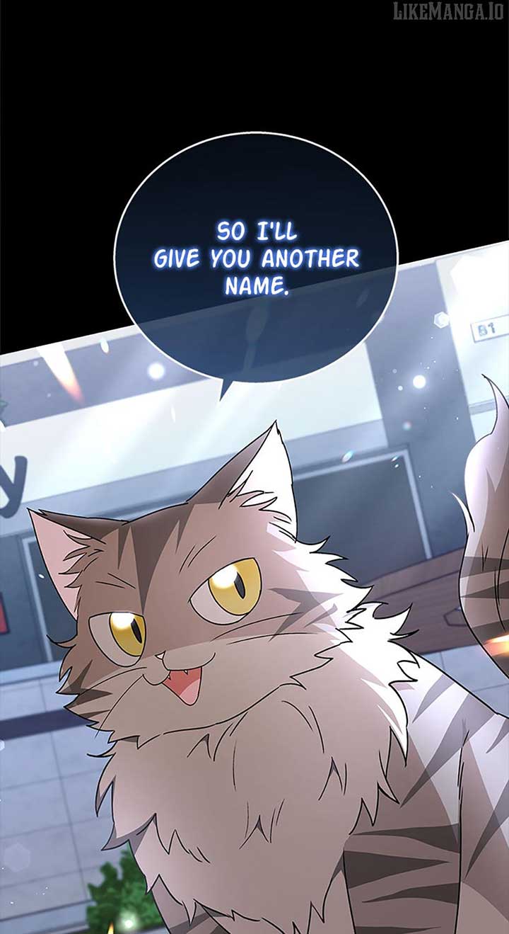 Hello! Veterinarian! Chapter 81 - Page 11