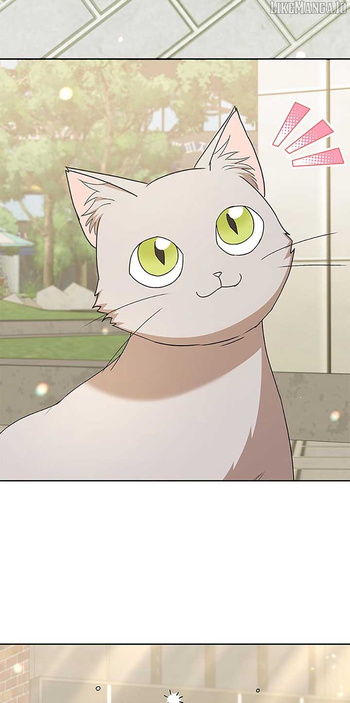 Hello! Veterinarian! Chapter 81 - Page 3