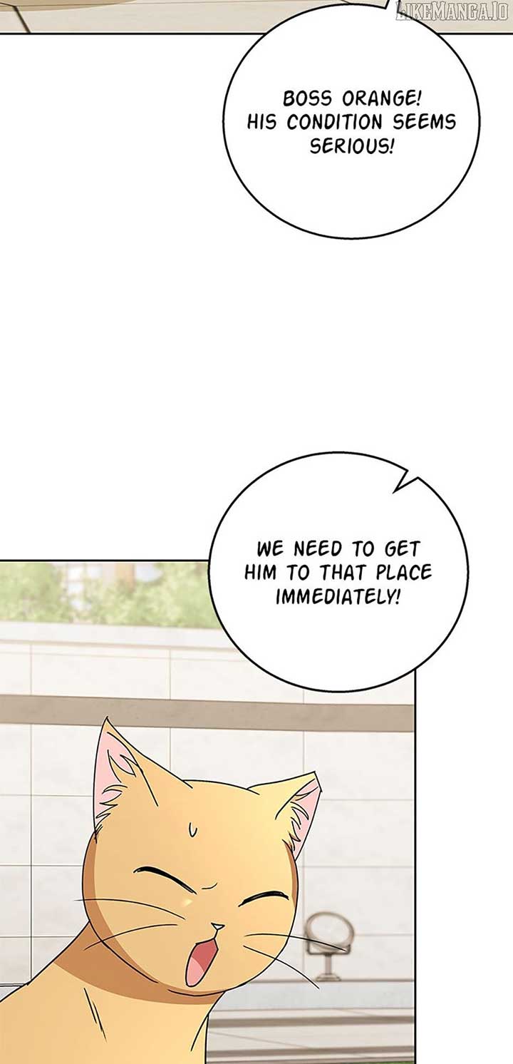 Hello! Veterinarian! Chapter 81 - Page 26