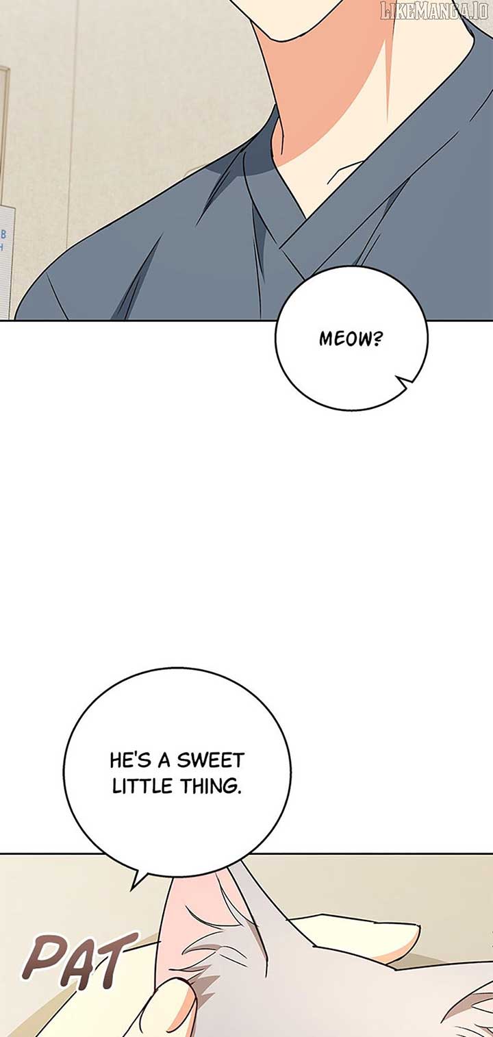 Hello! Veterinarian! Chapter 81 - Page 38