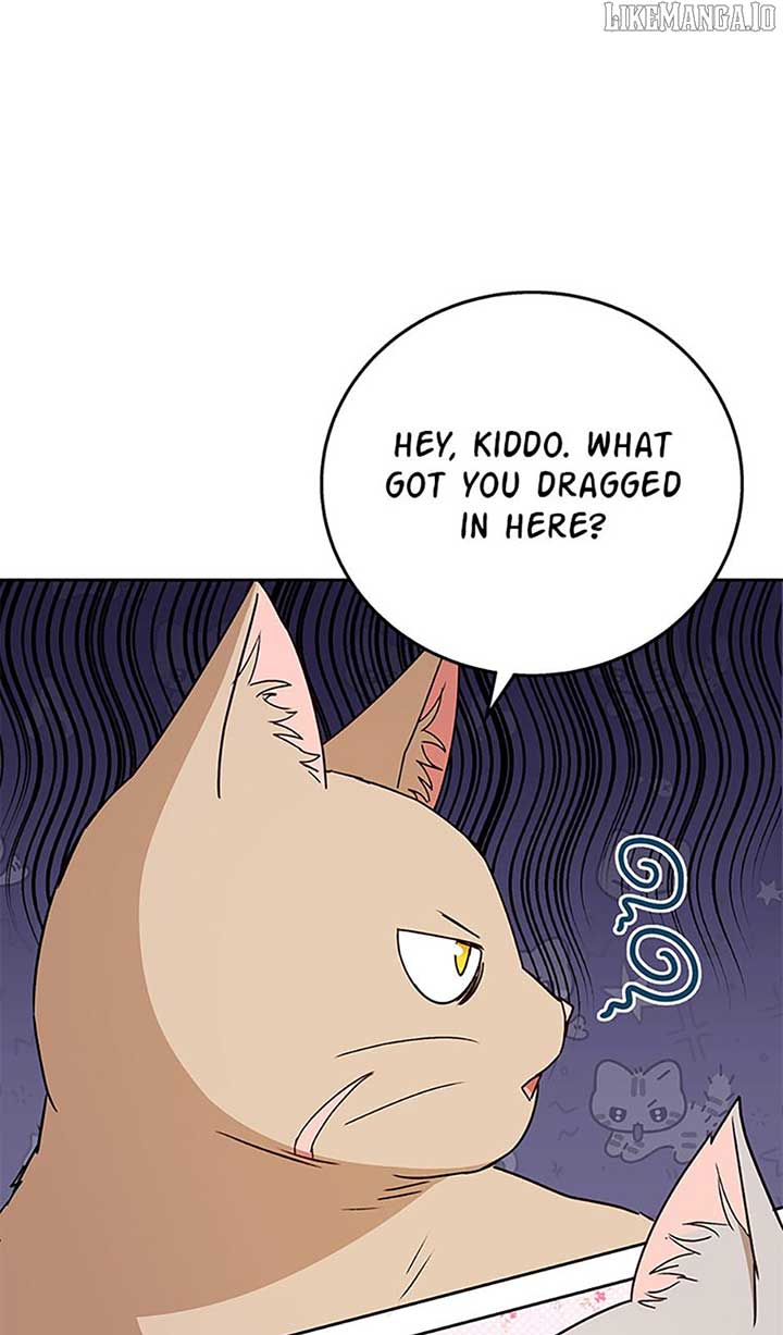 Hello! Veterinarian! Chapter 81 - Page 41