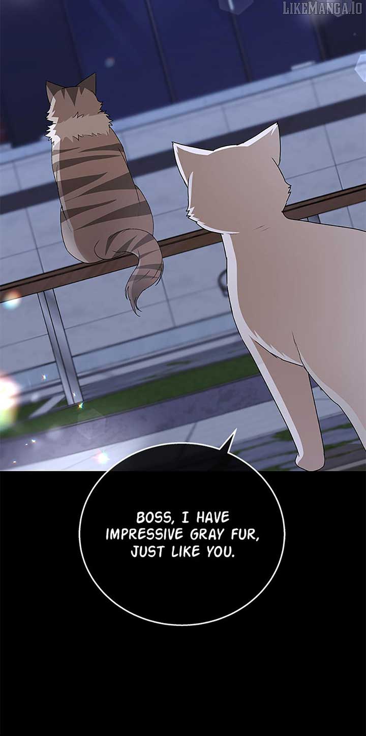 Hello! Veterinarian! Chapter 81 - Page 6
