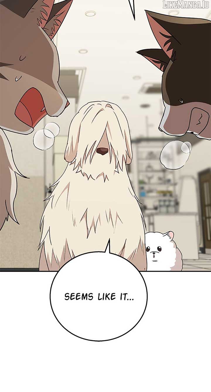 Hello! Veterinarian! Chapter 81 - Page 71