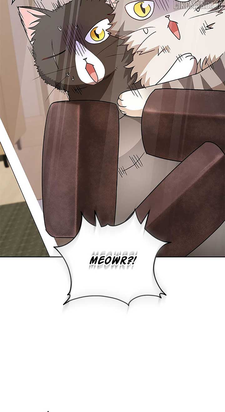 Hello! Veterinarian! Chapter 82 - Page 12