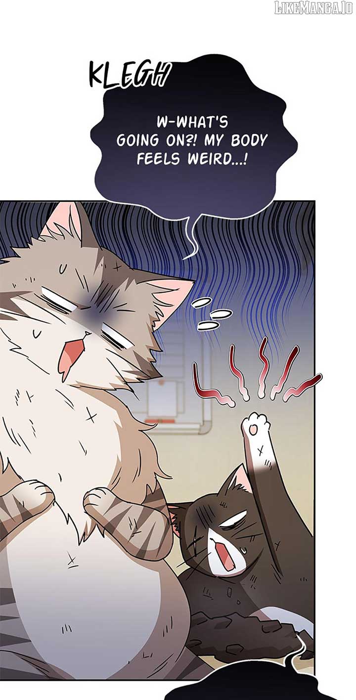 Hello! Veterinarian! Chapter 82 - Page 53