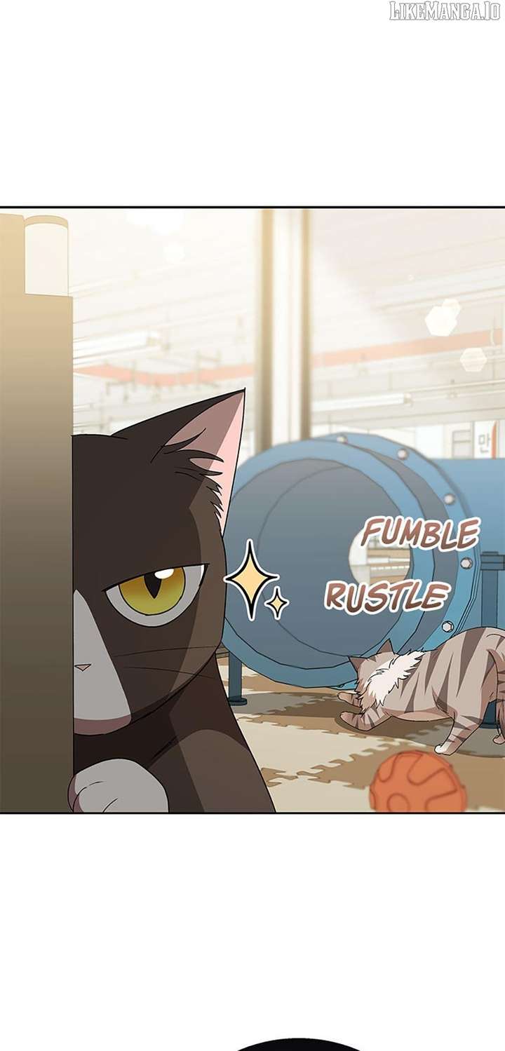 Hello! Veterinarian! Chapter 85 - Page 12