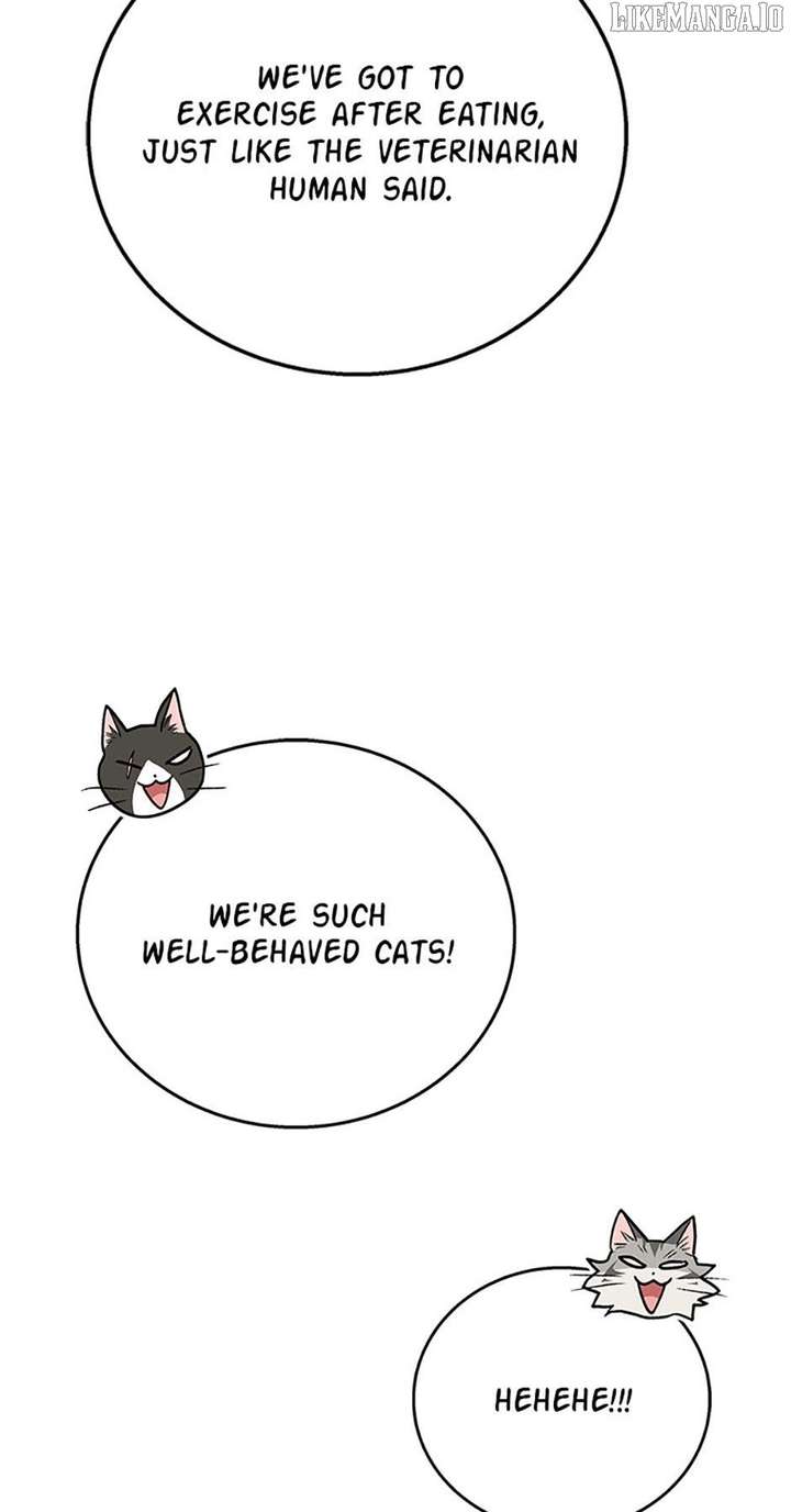 Hello! Veterinarian! Chapter 85 - Page 18