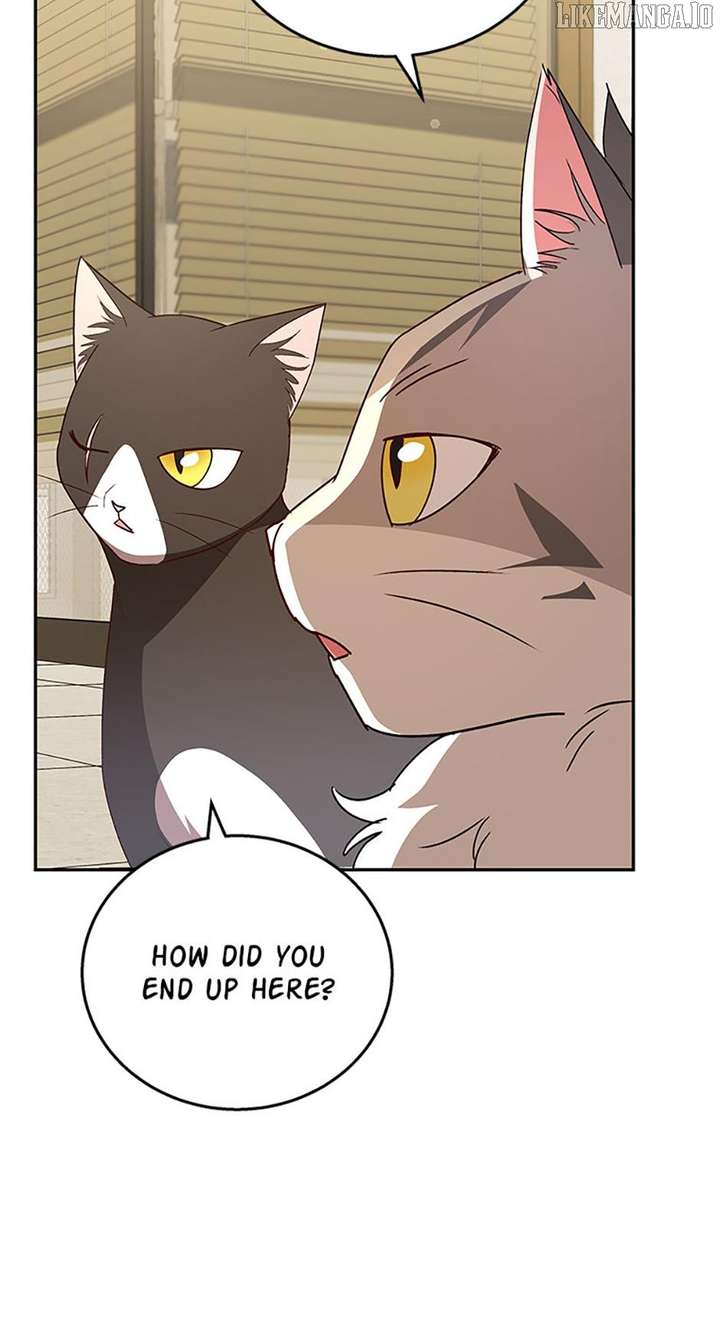 Hello! Veterinarian! Chapter 85 - Page 33