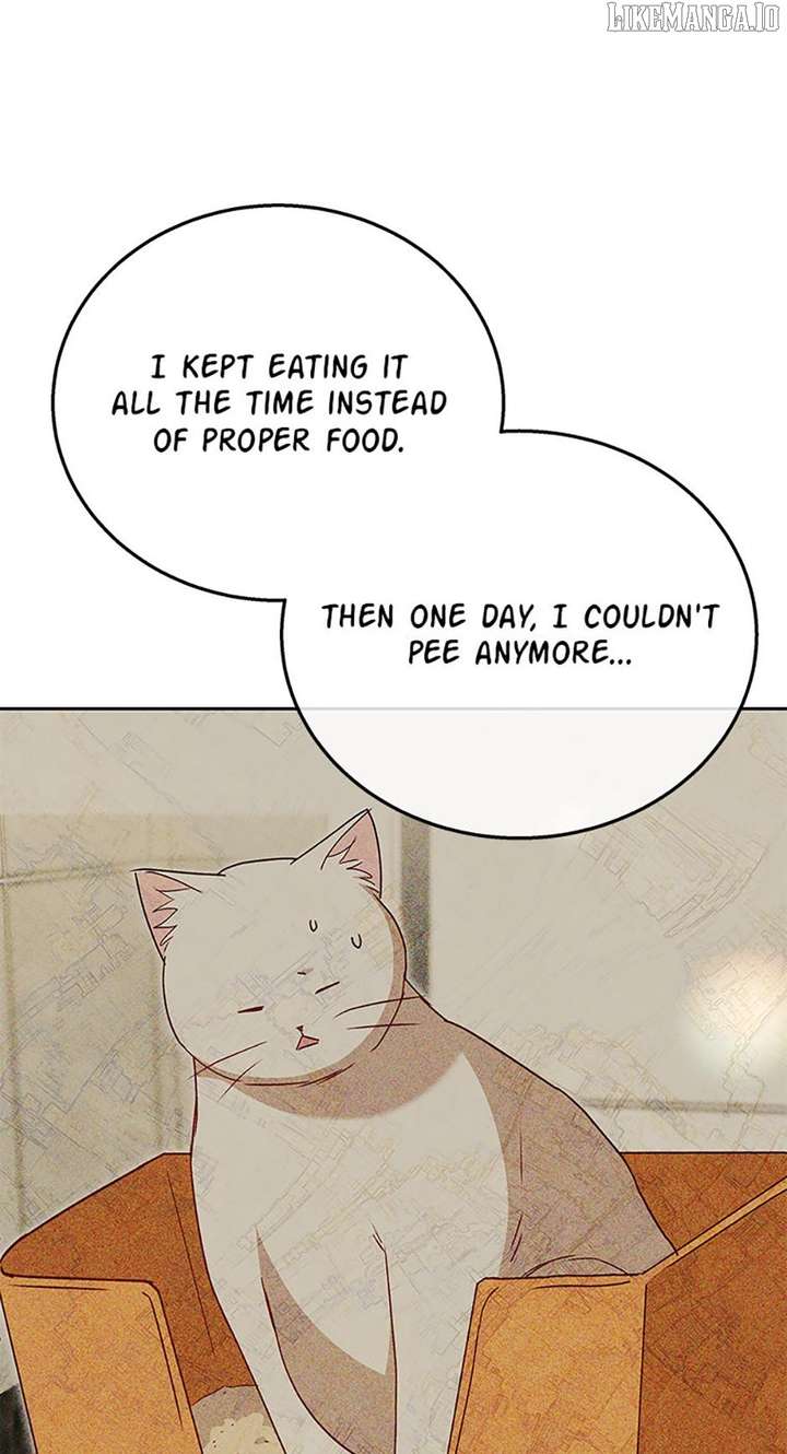 Hello! Veterinarian! Chapter 85 - Page 36