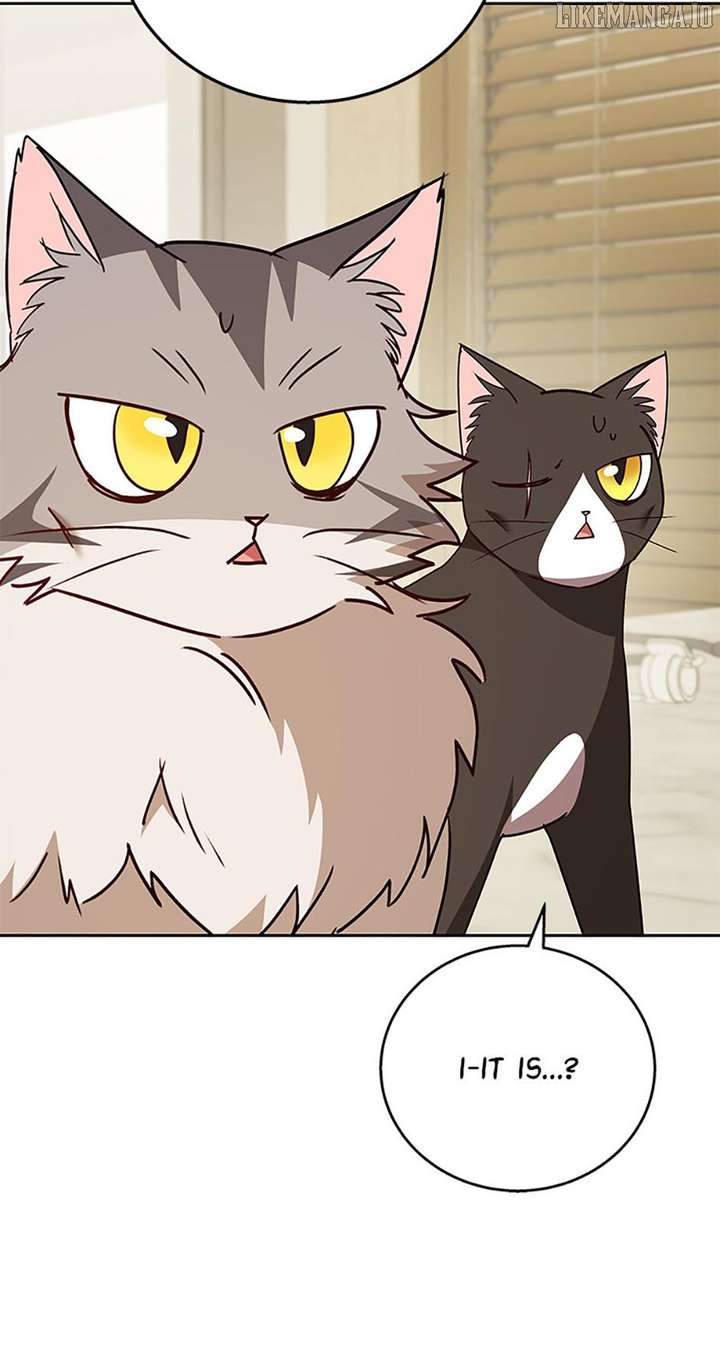 Hello! Veterinarian! Chapter 85 - Page 82
