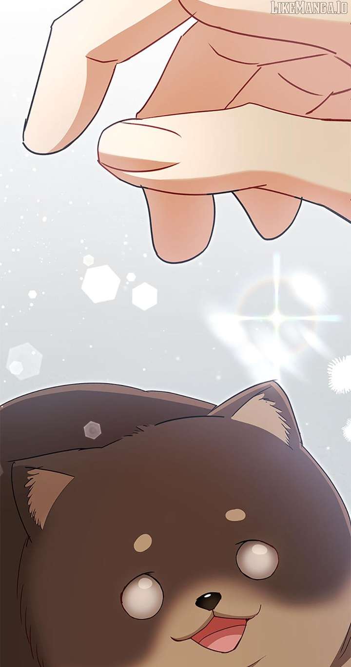 Hello! Veterinarian! Chapter 86 - Page 81