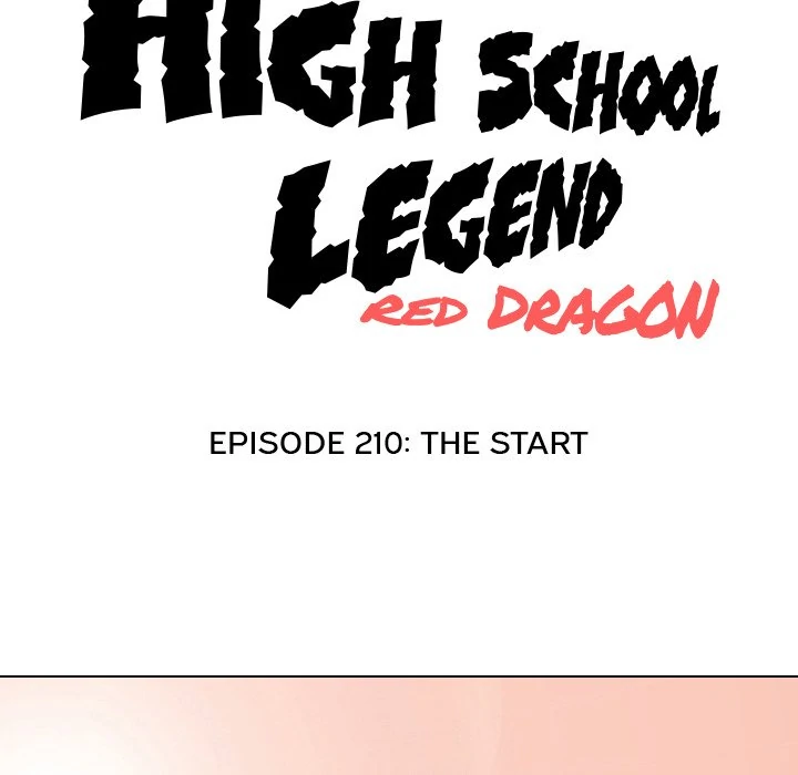 High School Legend: Red Dragon Chapter 210 - Page 12