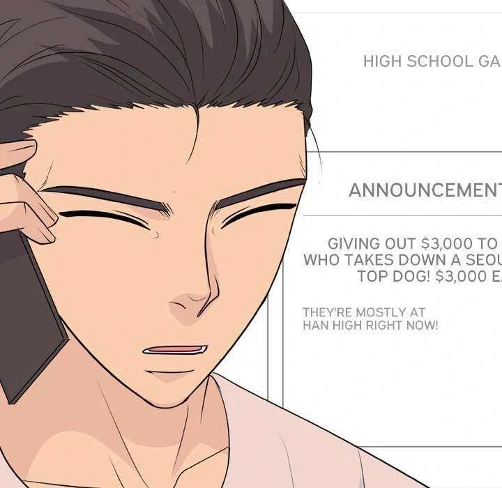 High School Legend: Red Dragon Chapter 215 - Page 17