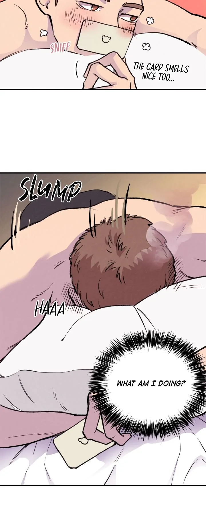Honey Bear Chapter 1 - Page 28