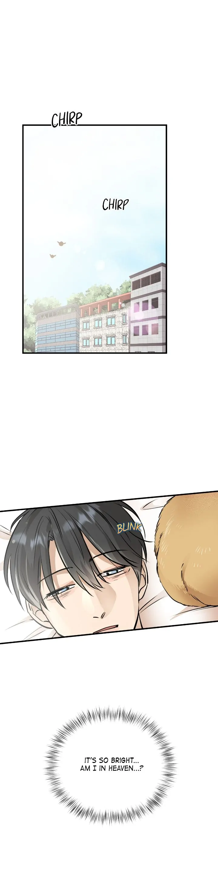 Honey Bear Chapter 29 - Page 28