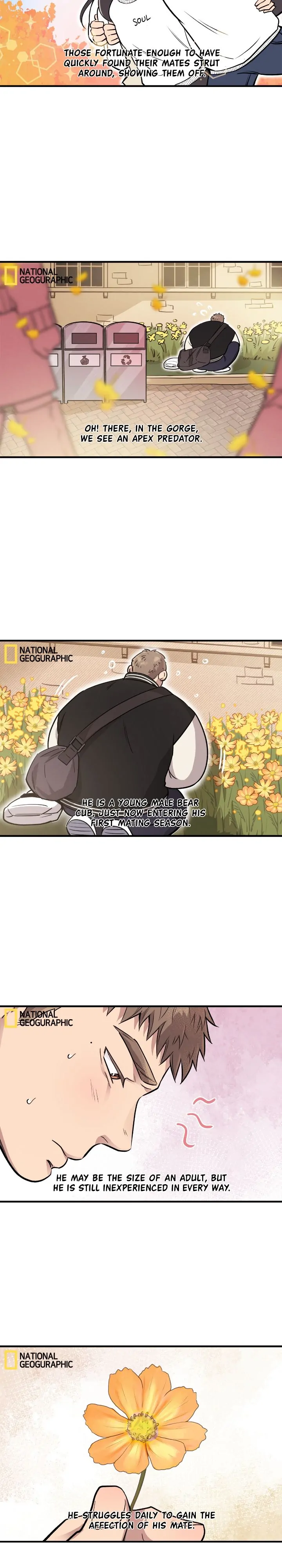 Honey Bear Chapter 31 - Page 3