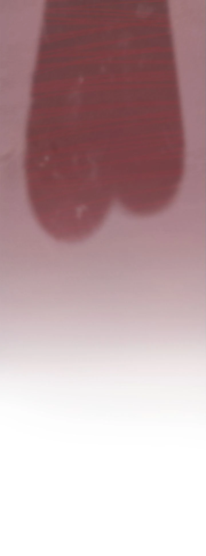 Honey Bear Chapter 56 - Page 63