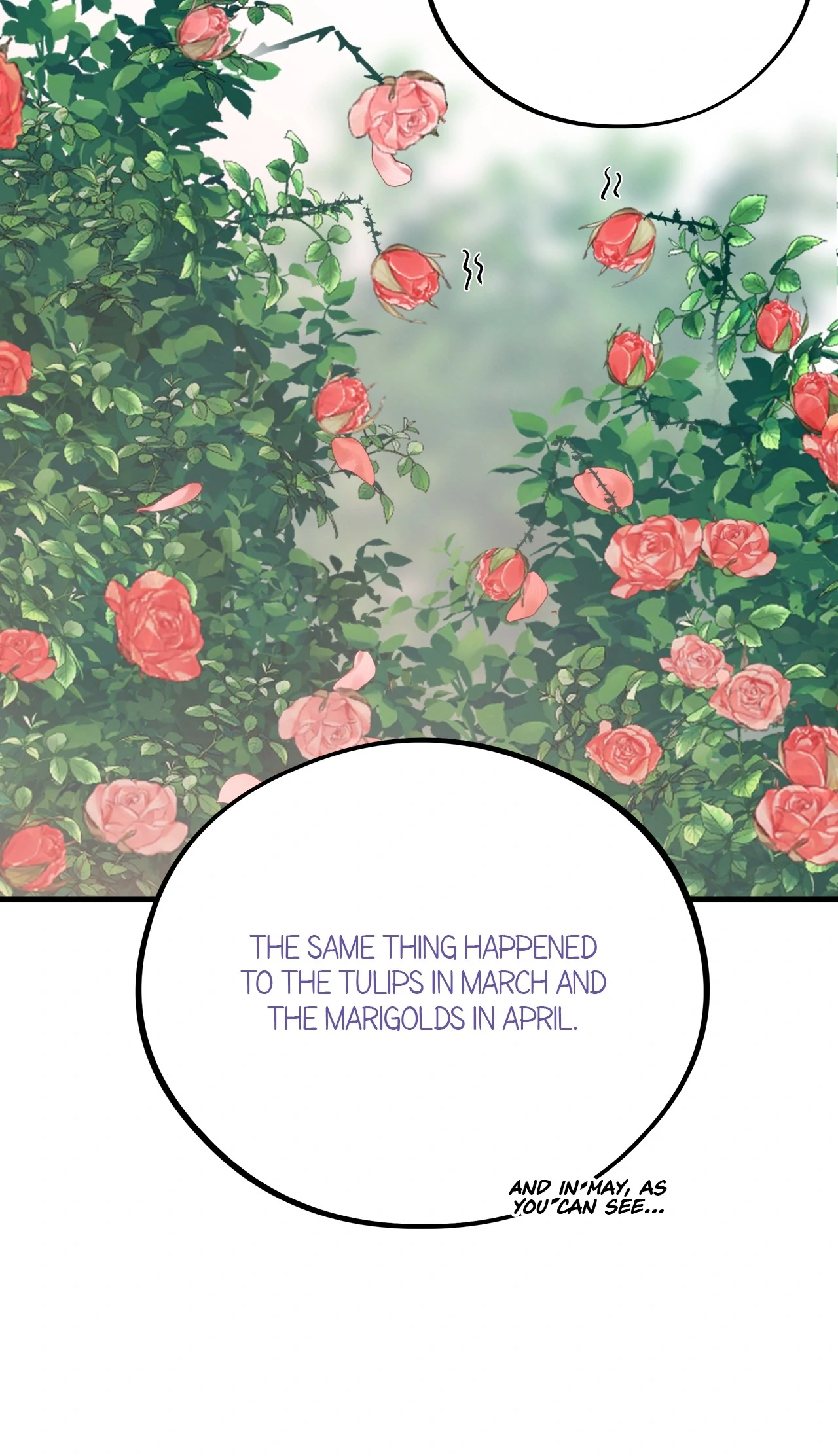 Honey Bear Chapter 70 - Page 38