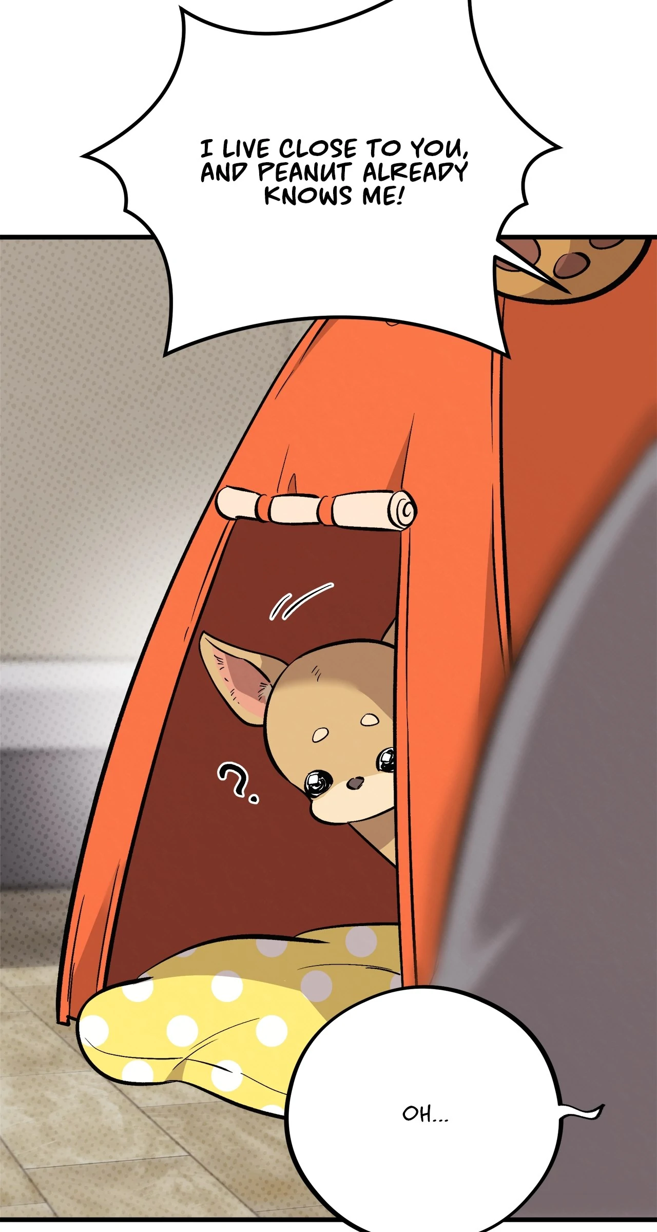 Honey Bear Chapter 71 - Page 67